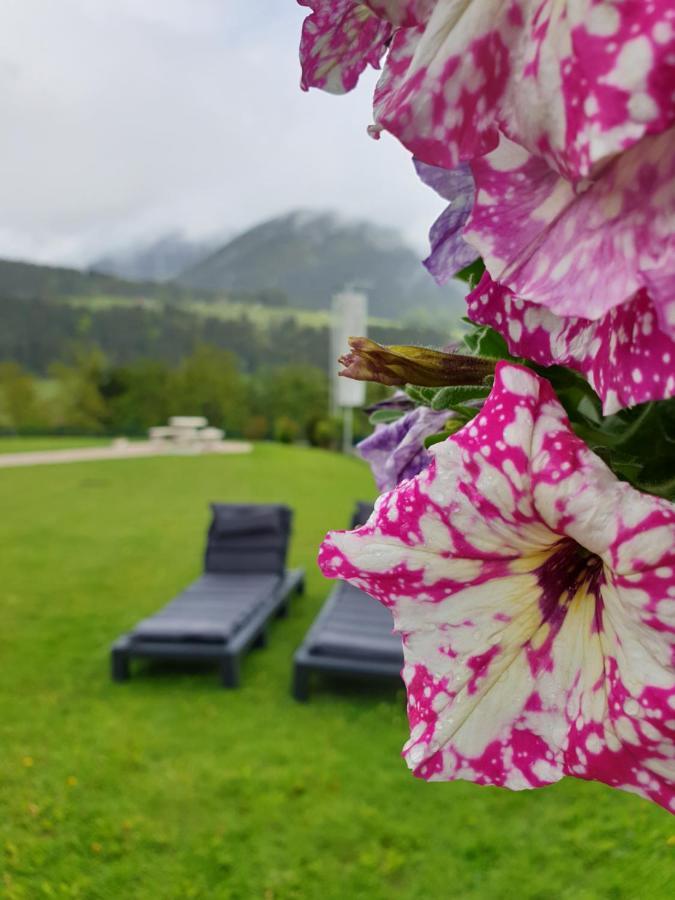 Vive Diem Haus im Ennstal Luaran gambar